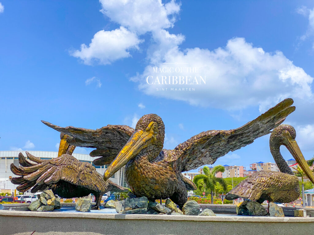 Brown Pelicans Statue Sint Maarten