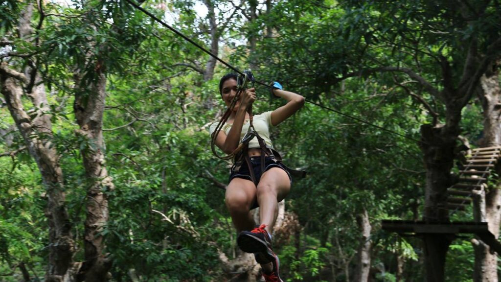 Zip Line at Loterie Farm