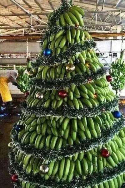 Banana - X Mas Tree