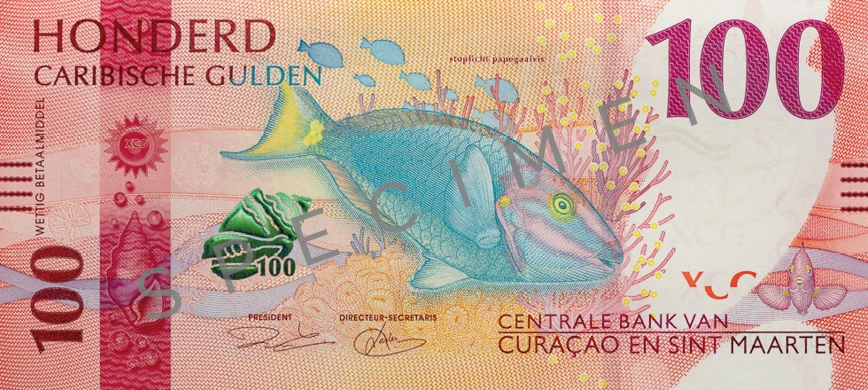 100 CMg Note